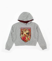Šedá silnější mikina s obrázkem HARRY POTTER