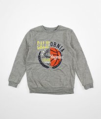 Šedá silnější mikina s obrázkem PRIMARK